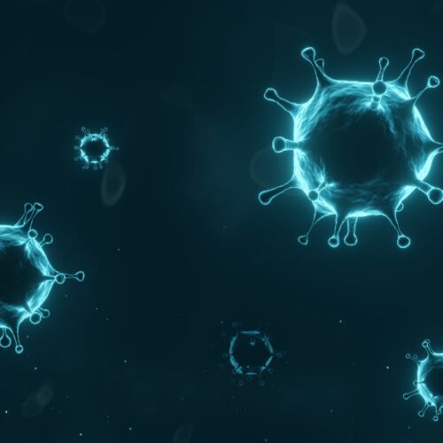 New Coronavirus Detection Tests “SARS-CoV-2”